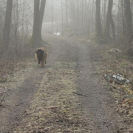 Tofvehults Boende Skaftet Exteriér fotografie