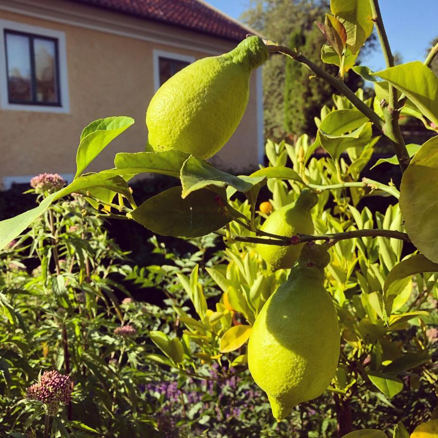 Tofvehults Boende Skaftet Exteriér fotografie
